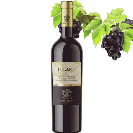 Tenute Masso Antico I Clasti Primitivo Susumaniello